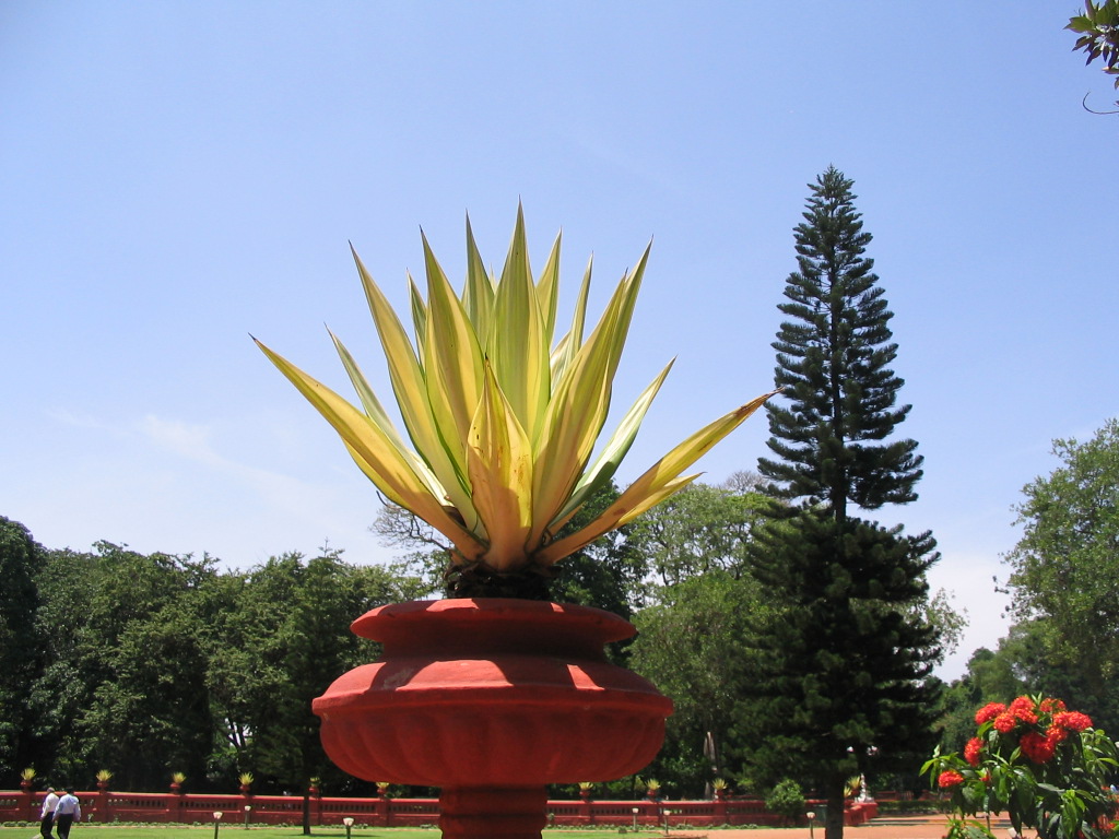 Bangalore 8-9-june2007 165